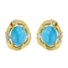 Brushed Turquoise Earrings For Women Jewelry