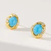 Brushed Turquoise Earrings For Women Jewelry - Image 5